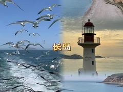 -养马岛旅游度假区