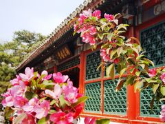 -海棠花溪(元大都城垣遗址公园)