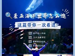 -大连圣亚海洋世界