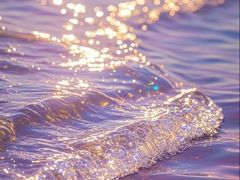 -海底捞火锅(老城根店)