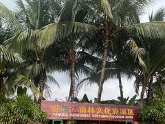 -呀诺达热带雨林
