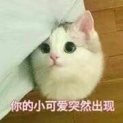 -火炉火自助餐(枫蓝国际店)