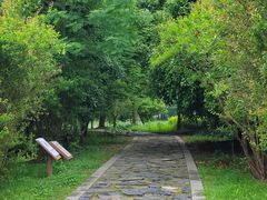 -同里国家湿地公园