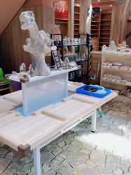 -卡通尼·Safari非洲探索乐园·生日会(金桥国际商业广场店)