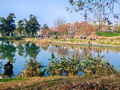 -两河城市森林公园