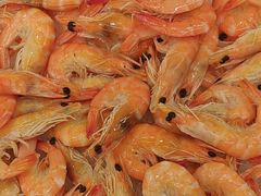-索菲特酒店·海鲜自助 ·聚餐厅