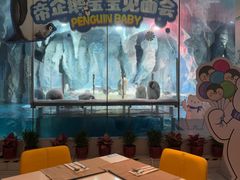 -帝企鹅自助餐厅•儿童岛•真企鹅(长隆企鹅酒店)