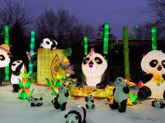 -沈阳奥体冰雪嘉年华