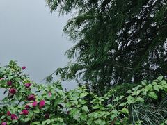 -海兰云天度假区温泉