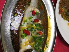 清蒸海鲈鱼-文仔海鲜馆