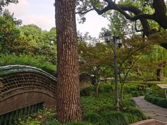 -申粤轩酒楼·三十年粤菜经典(丁香花园店)