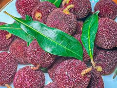 -温州一家人美食(西木头市店)