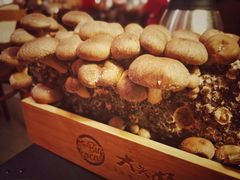 -大头椰·椰子鸡火锅(新梦店)