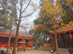 -老君山