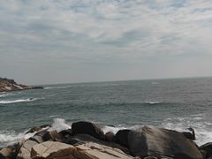 -广东惠东海龟国家级自然保护区