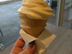 -麦当劳(塔园路店)