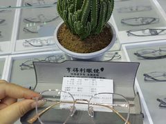 -罗伯特眼镜·蔡司官方授权(罗湖国贸店)