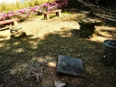 -达蓬山旅游度假区