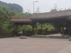 -铁山坪森林公园