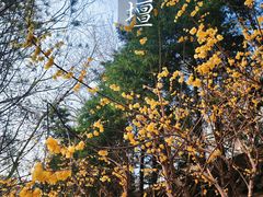 -月坛公园