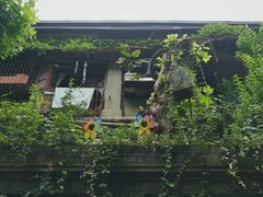 门面-猫色咖啡·猫咖
