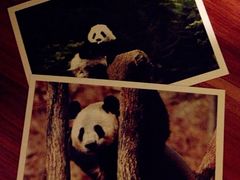 iphone_upload_pic-拖板鞋咖啡旅行酒店(春熙路地铁站店)