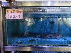 -八仔大富楼·河鲜(西江店)