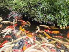 -聚福宝合苑食府(南头镇店)