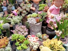 -双季花艺园艺市场(浦东店)