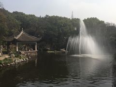 -叶家花园