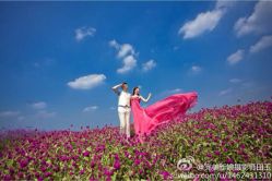 iphone_upload_pic-完美新娘婚纱摄影