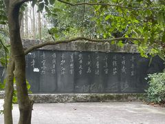 -潜山国家森林公园