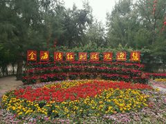 -北海金海湾红树林生态旅游区