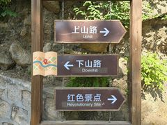 -大岭沟猕猴桃谷风景区