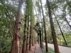 -同里国家湿地公园