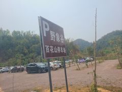 -野象谷景区