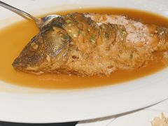 红烧黄河大鲤鱼-金狮麟·新豫菜(金码大厦店)