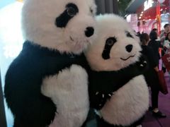 -东浩兰生上海世博展览馆