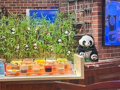 -比尔森韩式烤肉自助(国商店)
