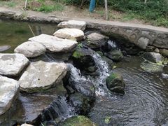 -白水寺森林公园