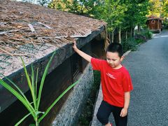 -高荡千年布依古寨旅游景区