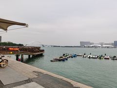 -五缘湾湿地公园