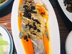 -七菜馆·东北菜·蒸饺(文体路店)
