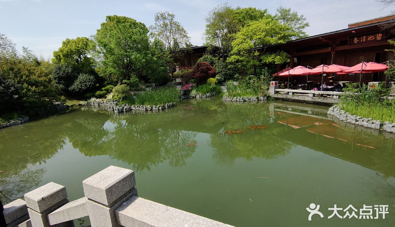 亩中山水园:当我来到世博滨江,发现一个掩藏在树丛中的