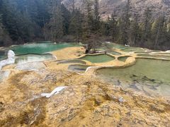 -黄龙山原始森林景区