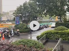 -杭州口腔医院(城西院区)