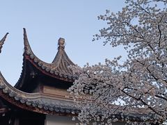 -苏州上方山国家森林公园