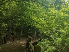 -十渡东湖港风景区