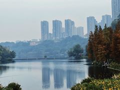 -重庆彩云湖湿地公园
