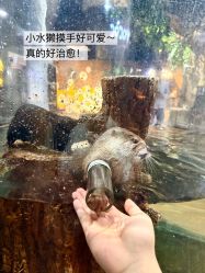 -Zoolung Zoolung动物主题公园(海信广场店)